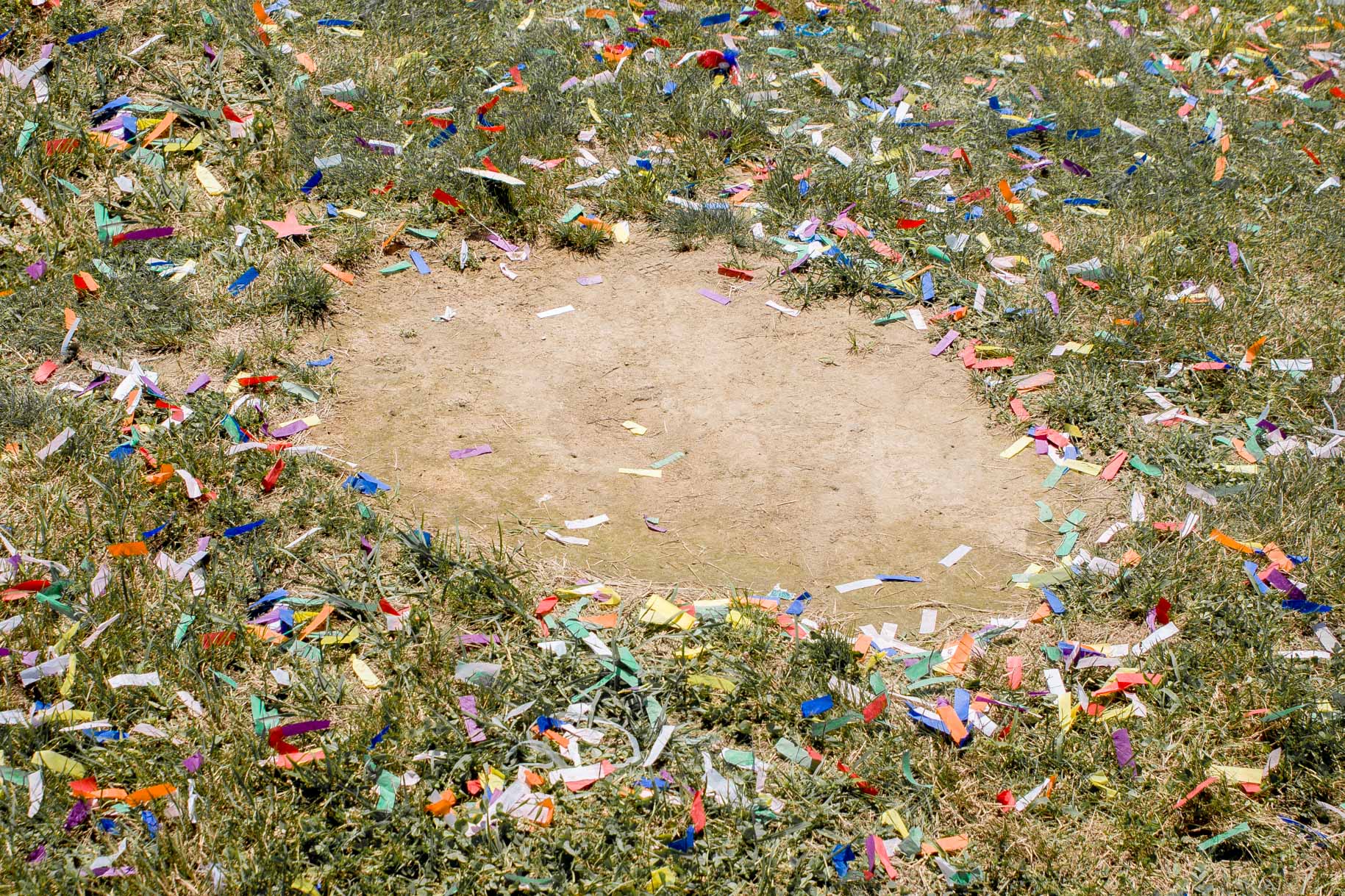 9_Confetti Patch, 2022.jpg